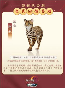 天龙八部私服蓝盾